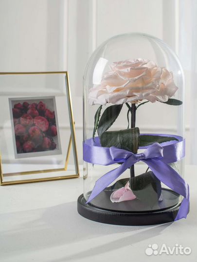 Роза в колбе/ Подарок на новый год