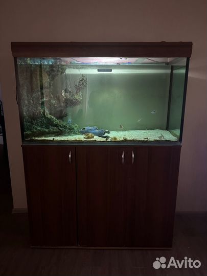 Аквариум с тумбой 500 литров