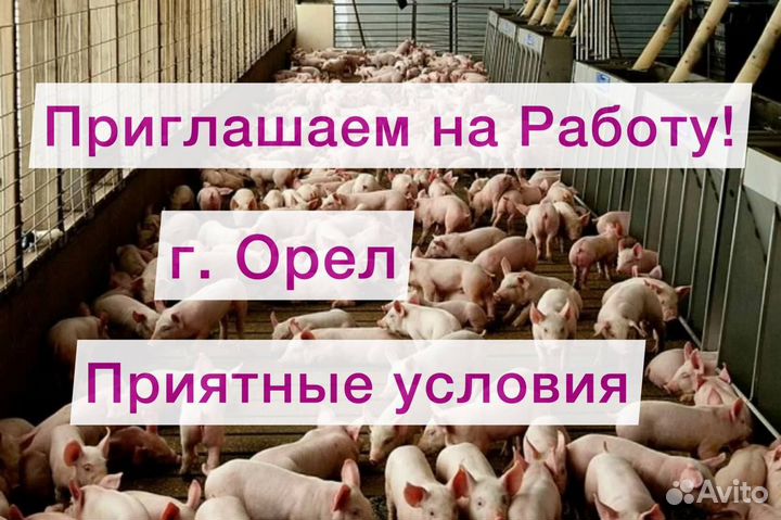Разнорабочий г.Орел Вахта с питанием и проживанием