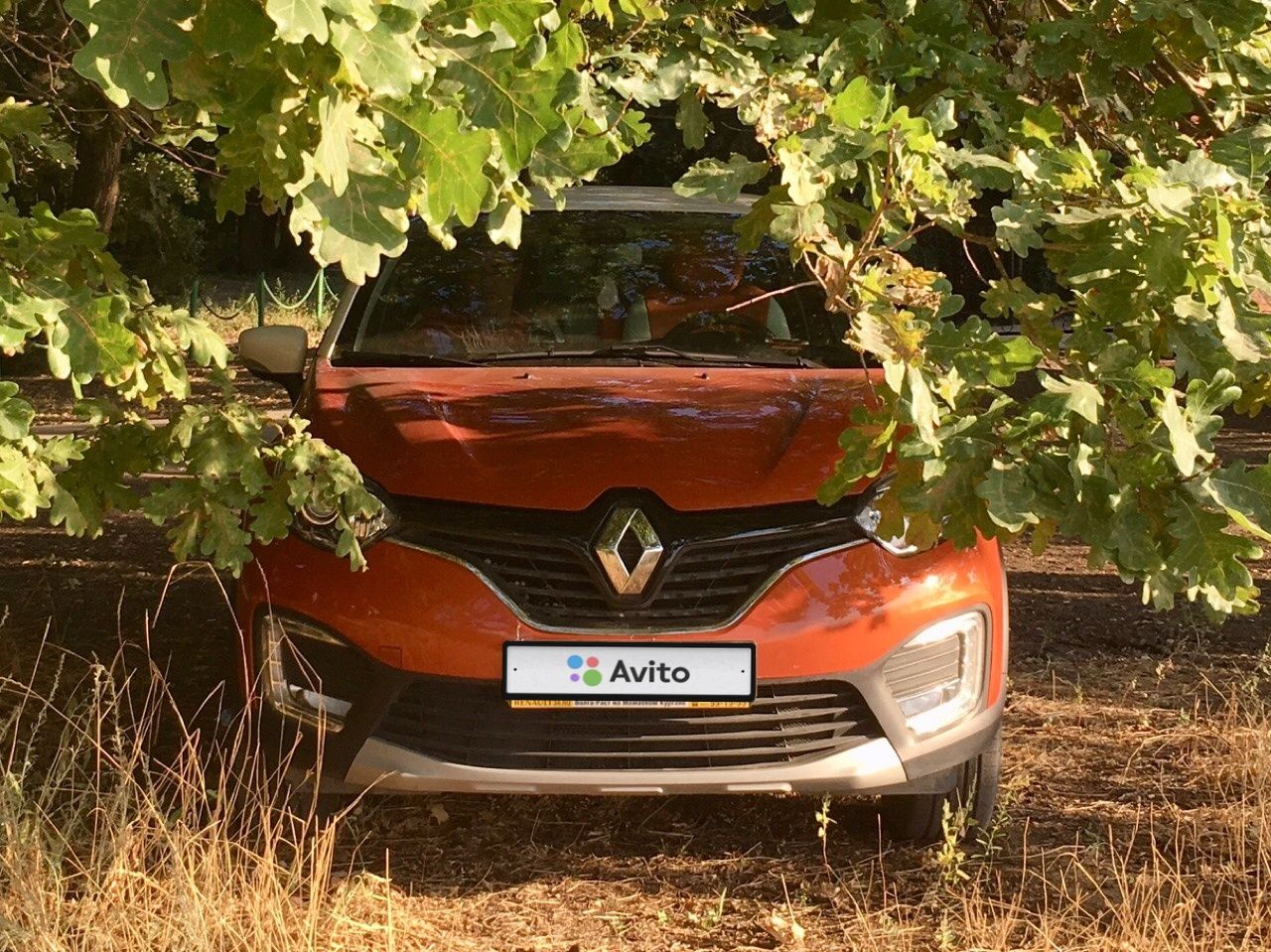 Renault Kaptur: фото владельца