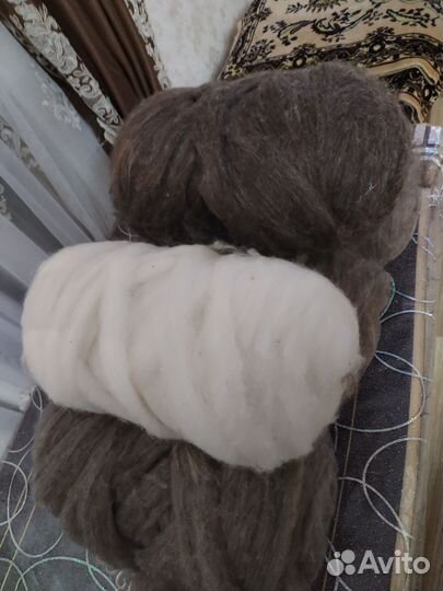 Чистый шерсть