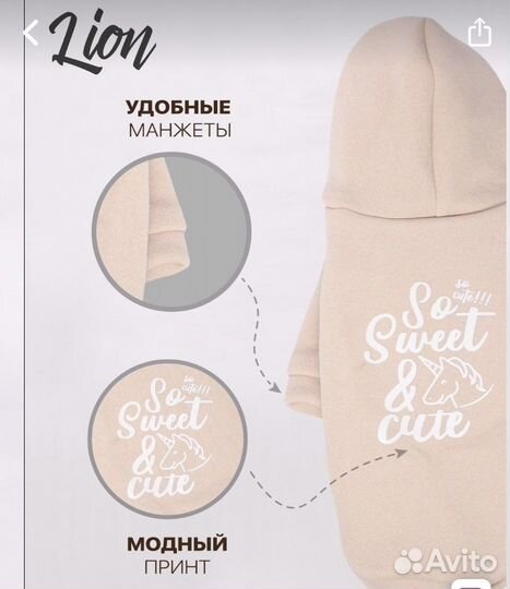 Одежда для собак