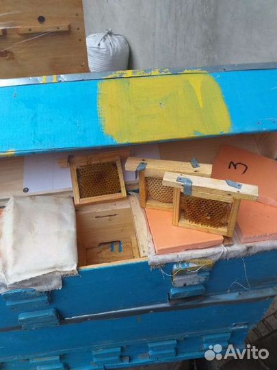 Улей для вывода маток