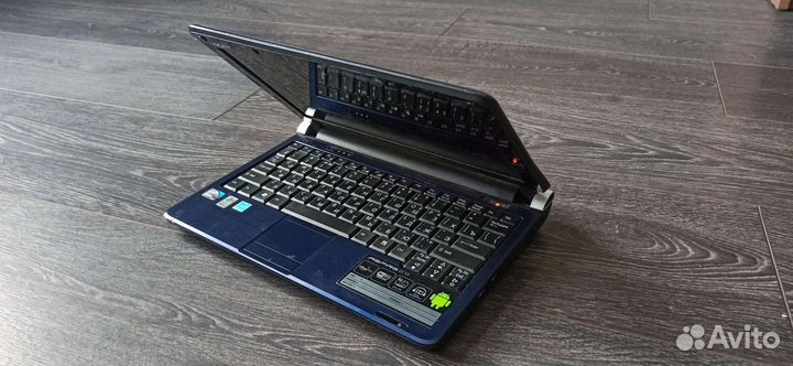 Acer