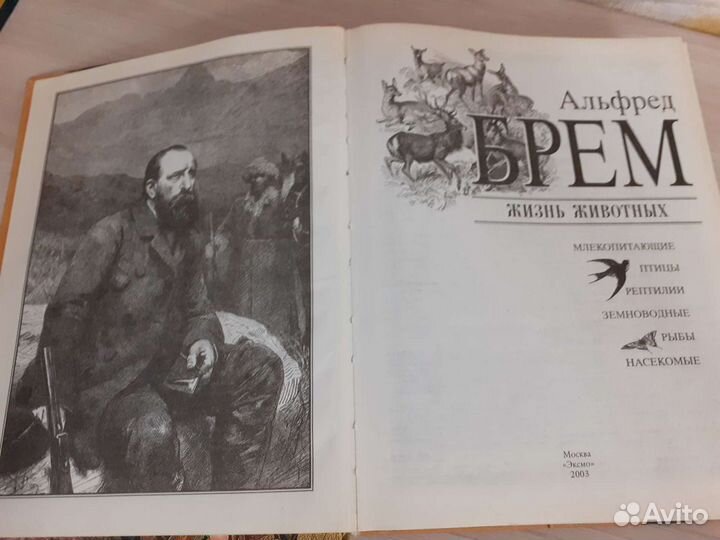 Энциклопедия