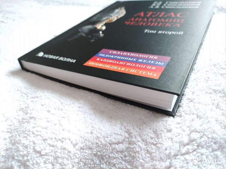 Атлас анатомии человека синельников в 4х томах