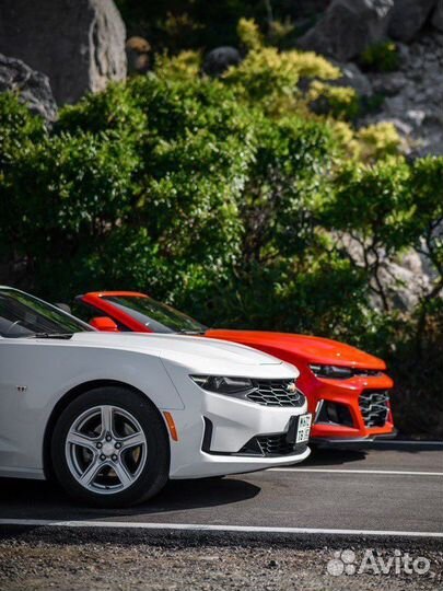 Прокат кабриолетов Chevrolet Camaro VI