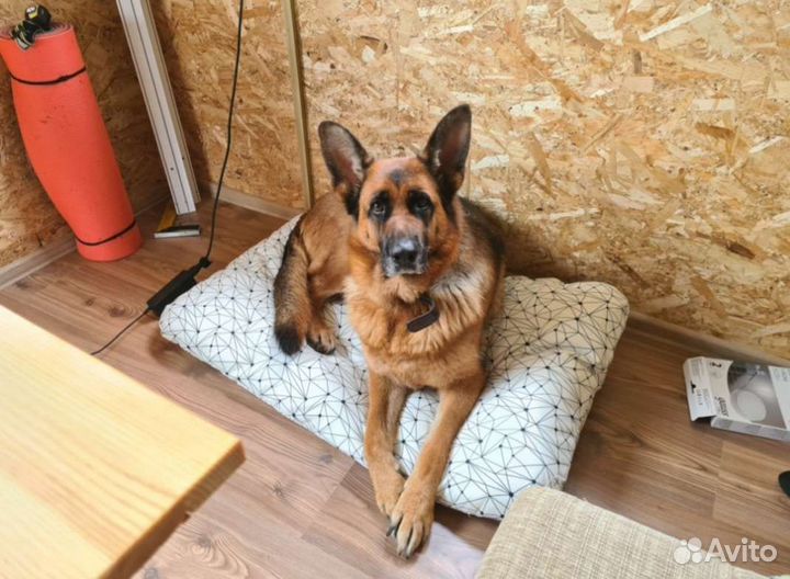 Лурвик подушка/ лежанка Икеа