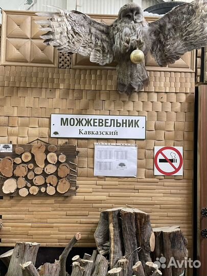 Можжевельник в ассортименте