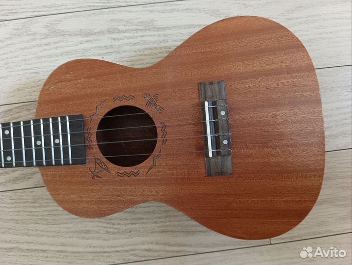 Укулеле концерт Flight