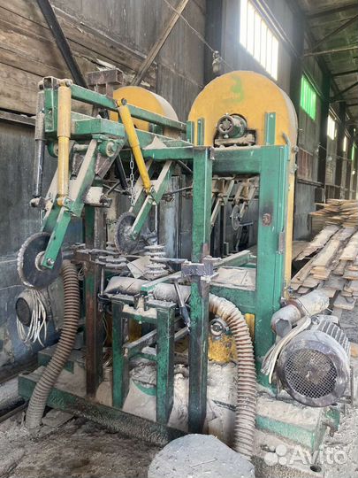 Брусовал ленточный Литва