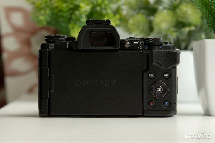 Olympus OM-D E-M5 Mark II Kit