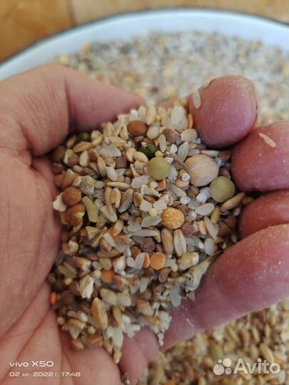 Корм для собак