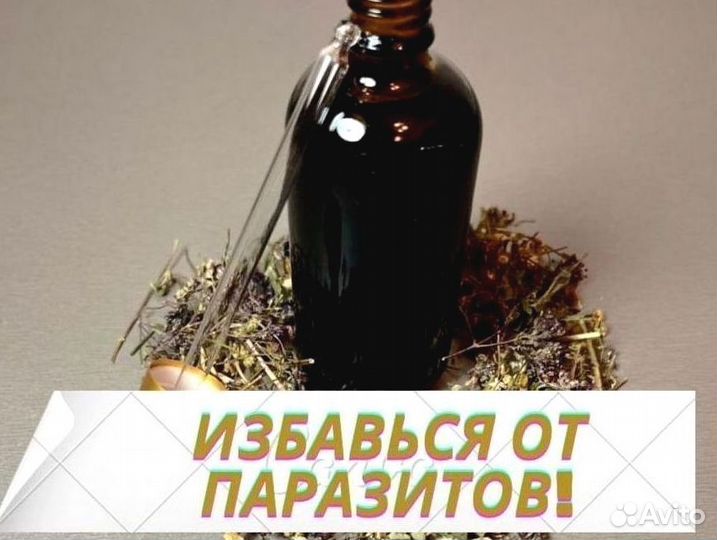 Маслогон паразитарный N6