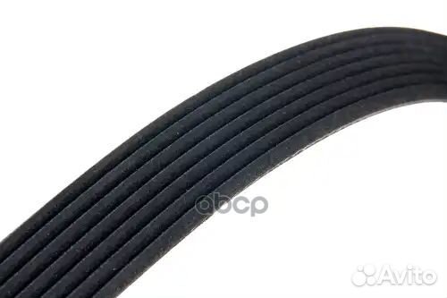 Ремень поликлиновой carberry 0702418SX Stellox