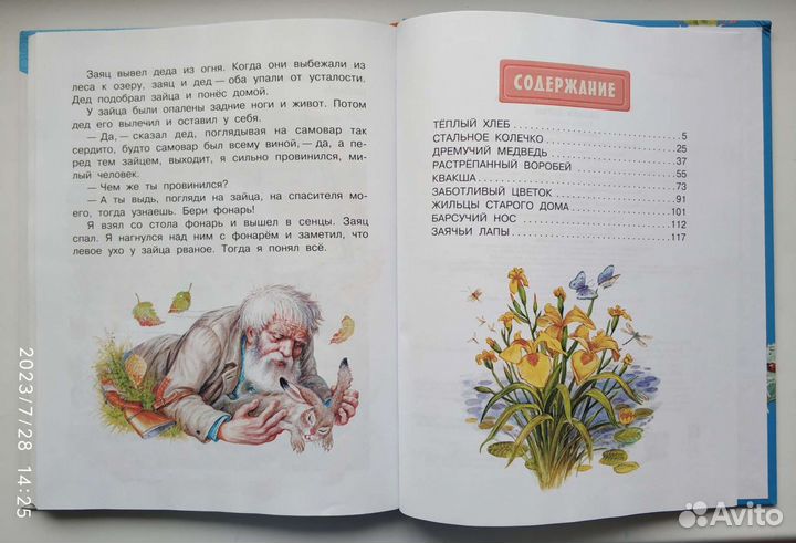 Лучшие произведения для детей К.Паустовского