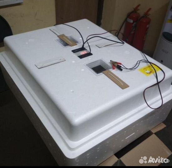 Инкубатор несушка 77 яиц на прокат