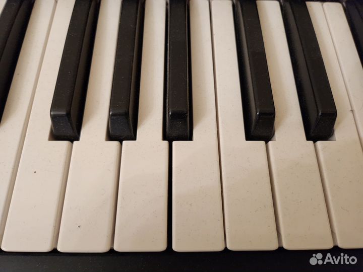 Yamaha np 12