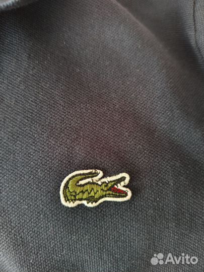 Поло Lacoste, Футболка Calvin Klein