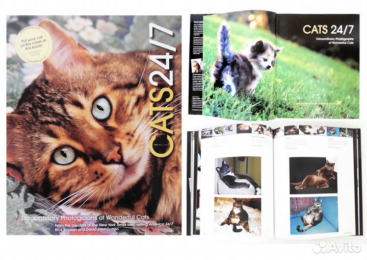 Животные. Птицы. Насекомые. Рыбы. Кошки. Африка