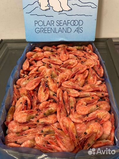 Креветка оптом, от 10 кг