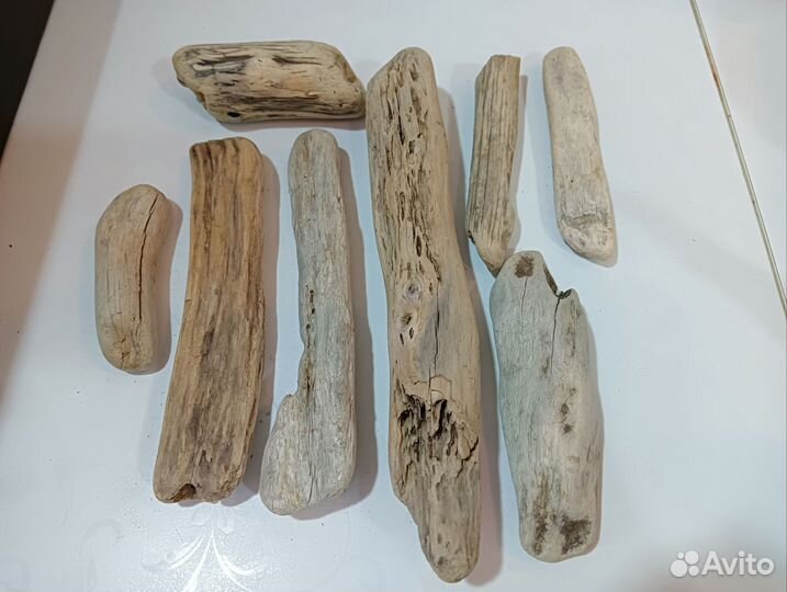 Коряги дрифтвуд