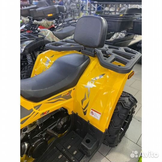 Квадроцикл Motoland Wild Track X 200 PRO + лебедка