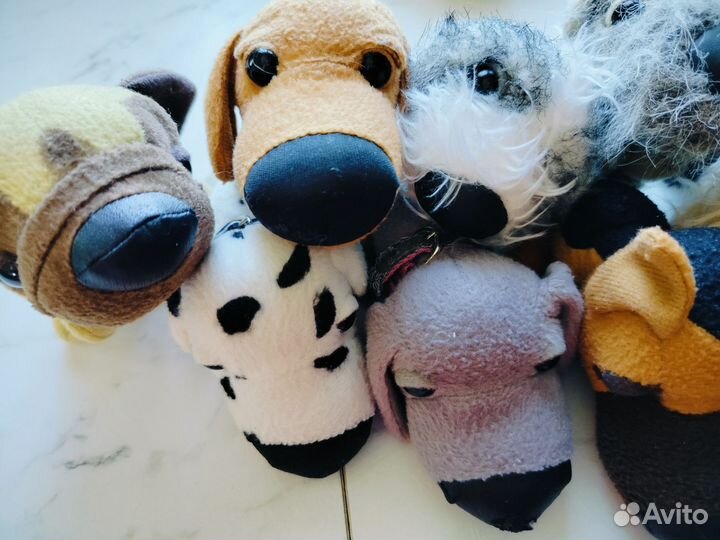 The dog collection