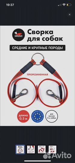 Сворка для собак средних или крупных пород
