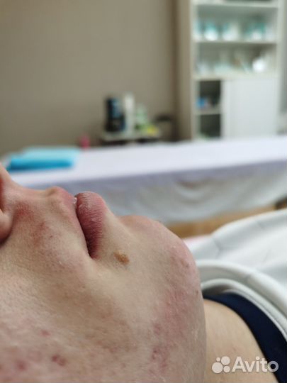 Борода полностью