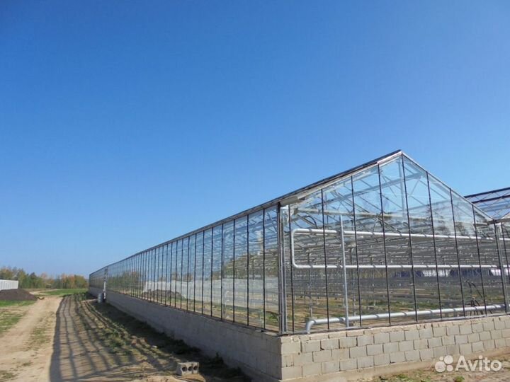 Теплицы Антрацит и Венло строим под ключ