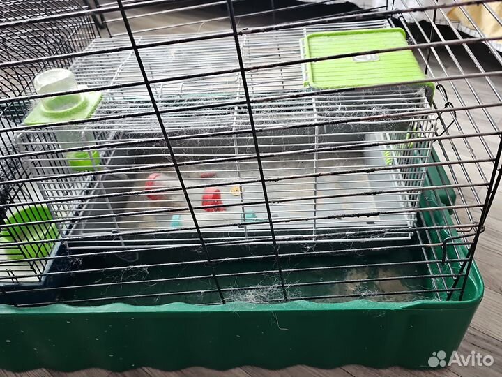 Клетка для грызунов большая