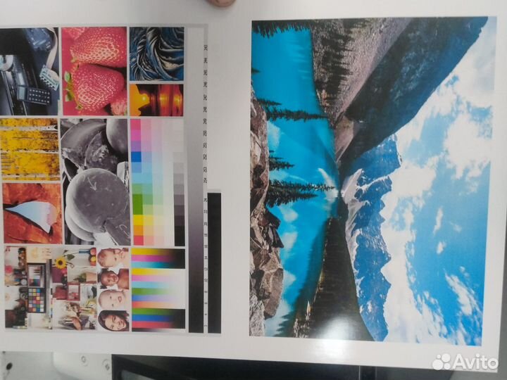 Фото принтер струйный мфу Epson L3210