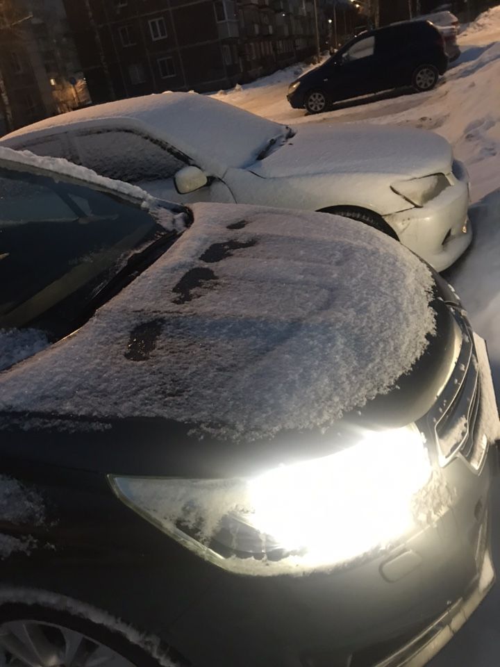 Citroen C4: фото владельца