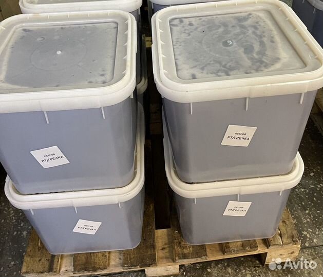 Мед оптом с Алтайских пасек