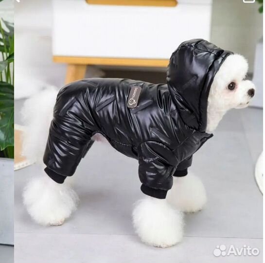 Зимний комбинезон для собак мелких пород