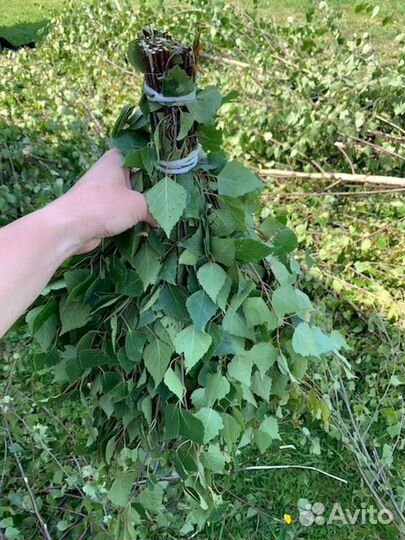 Веники для бани