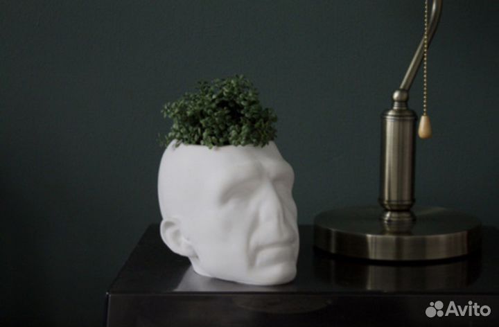 Кашпо/органайзер Воландеморт