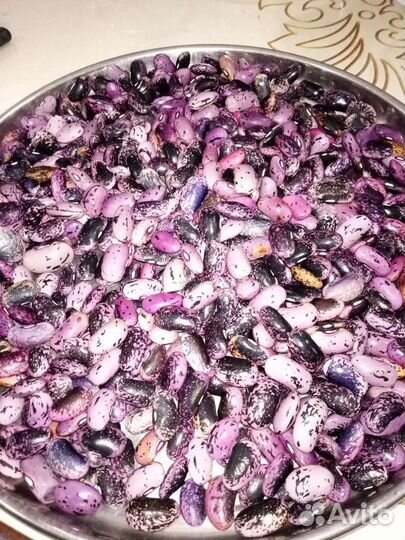 Семена производительной фасоли из Европы