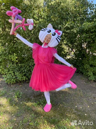 Аниматор, Ведущий