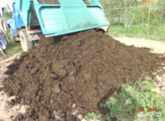 Свежий навоз в теплицу