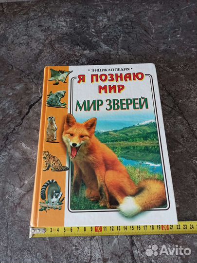 Книга - энциклопедия