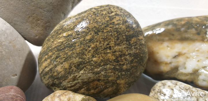 Коллекция камушков морских