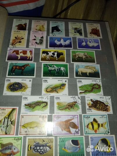 Почтовые марки СССР