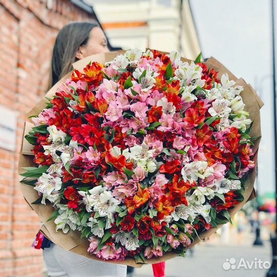 Альстромерия