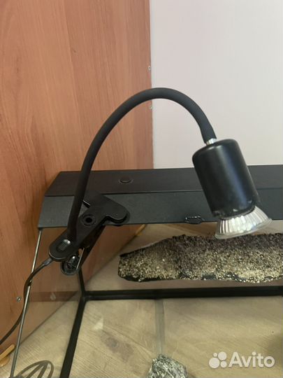 Лама для рептилий