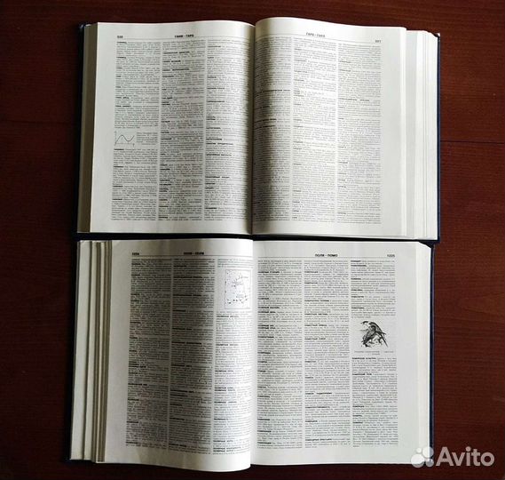 Российский энциклопедический словарь (2 тома)