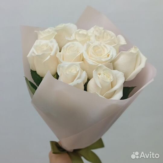 Роза 25 Роза 31 Роза 51 Роза 101 ароматная Роза