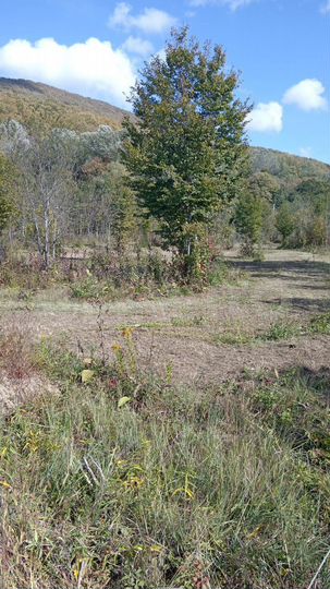 Участок 1,5 га (СНТ, ДНП)