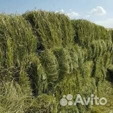 Сено в тюках